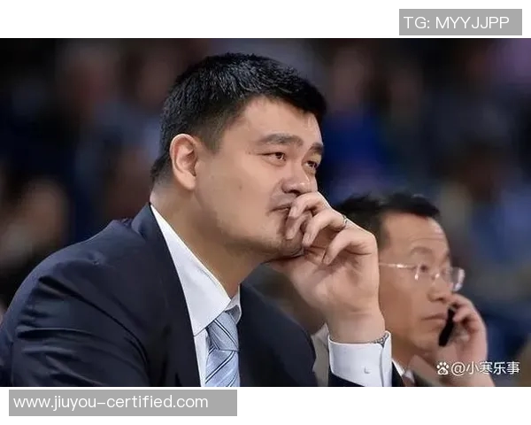 姚明经济笔记：从篮球巨星到商业领袖的成功之路与思考