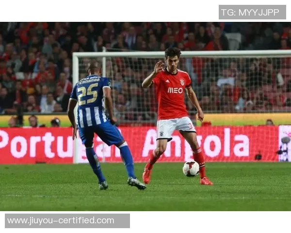 本菲卡逆转里昂5-0大胜全场沸腾十大精彩进球回顾